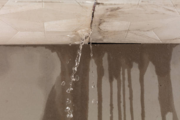 Professional Structural Drying technician working in Racine, MN